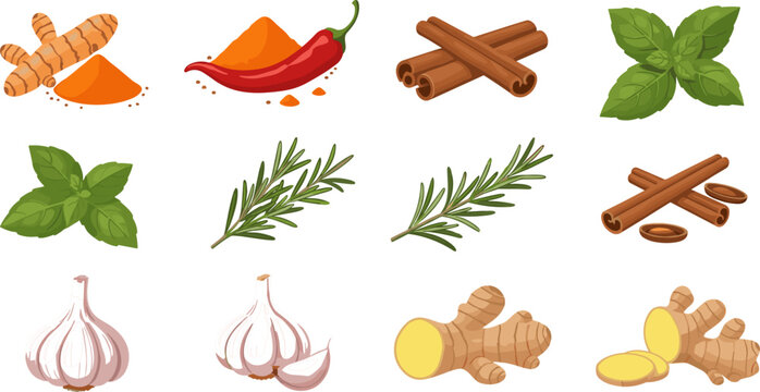 Herbs and Spices Collection Featuring Turmeric, Chili Pepper, Cinnamon Sticks, Basil, Rosemary, Garlic and Ginger Natural Cooking Ingredients Vector Set