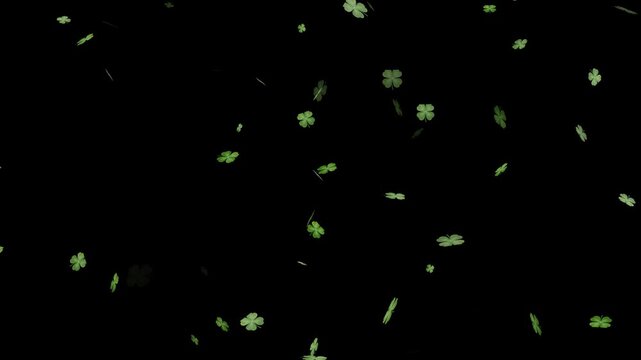 Falling shamrock leaf on transparent background, Gentle 3D shamrock leaves gracefully fall on a transparent background. A magical clover leaf transition.3D animation of green clover leaves .