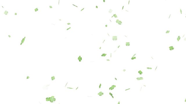 A lucky clover leaf transition featuring swirling shamrock leaves,  leaves floating and green light trails against white background. clover leaves pattern on green background 4k,