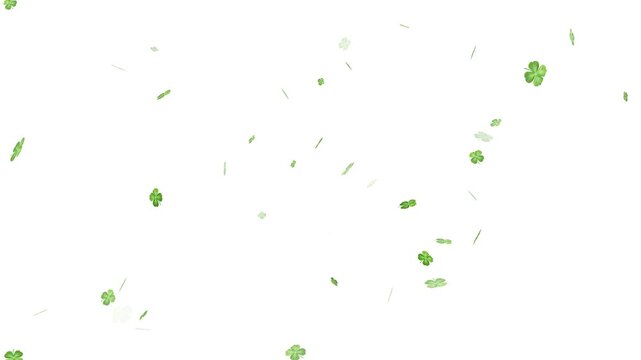 A lucky clover leaf transition featuring swirling shamrock leaves,  leaves floating and green light trails against white background. clover leaves pattern on green background 4k,