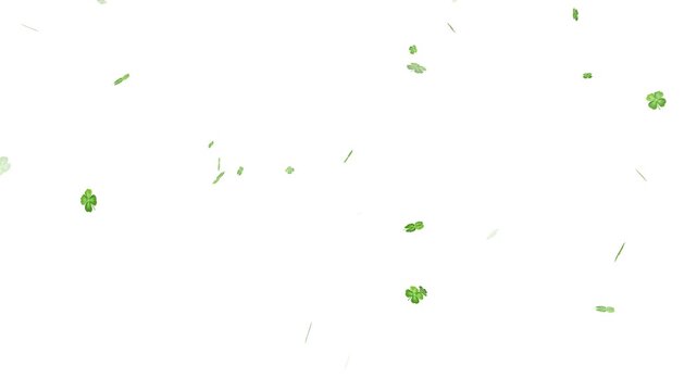 Digital animation of multiple clover leaves, Four leaf clover flying  seamless looping, Shamrock four-leaf clovers falling on a white background. A group of four leaf clovers arranged on a clean white