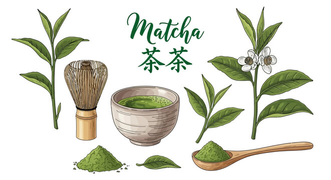 A vibrant illustration of matcha tea ingredients and tools