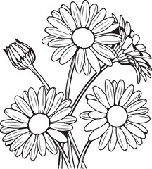 Fototapeta premium Vintage botanical illustration of daisy flowers in black and white