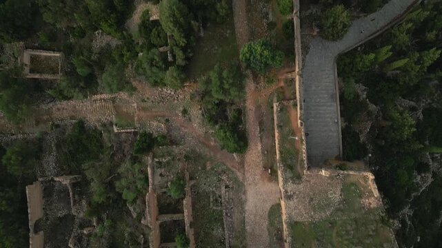 Ancient ruins and stone paths wind through a dense forest.