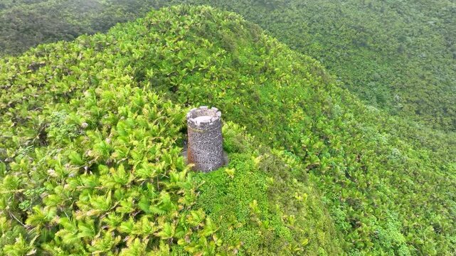 Rotating aerial footage of the Britton Tower, El Yunque, PR
