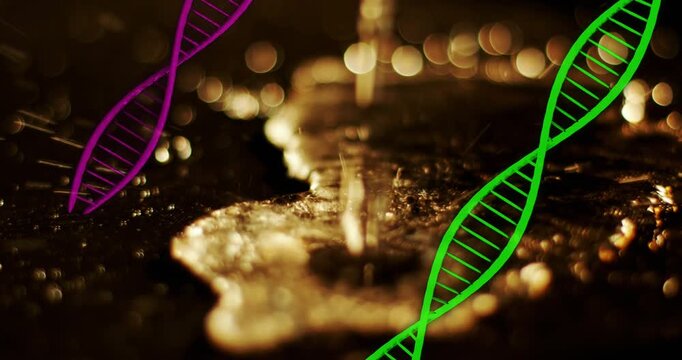 Animation of fir tree branches over christmas dna strand spinning