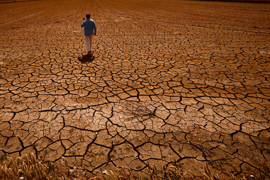 Man walking across a field of cracked dry soil while using a smartphone. Concept of drought, climate change, environmental damage and modern isolation.