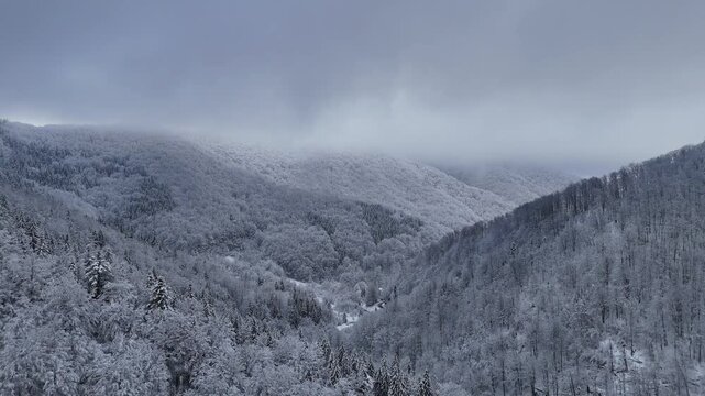 Aerial drone over snowy Apuseni mountains near Stana de Vale
