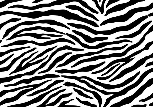 A black and white zebra print pattern background texture