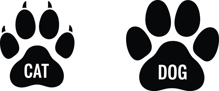 Cat and dog paw prints with labels a comparative illustration
