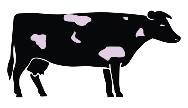 Holstein Cattle Vector Art Illustrations