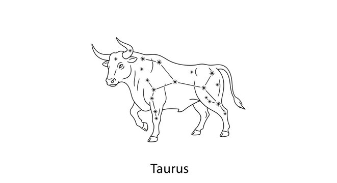 Taurus zodiac constellation illustration on white background