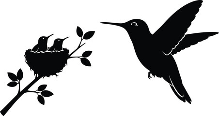 Hummingbird silhouette flying near nest with baby birds on branch isolated on white background vector illustration wildlife nature design © Mst