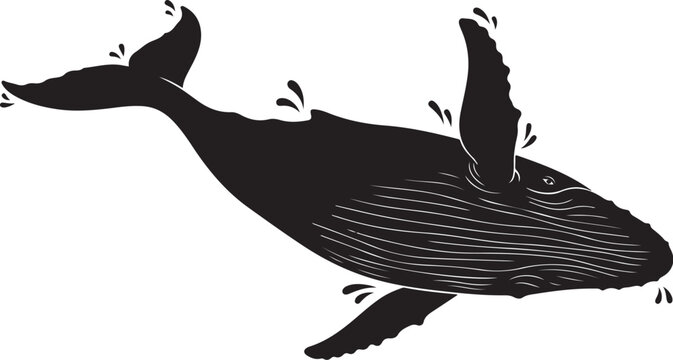 Black whale silhouette with water splashes ocean