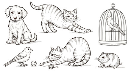 Obraz premium Pencil Drawings of Various Domestic Pets.