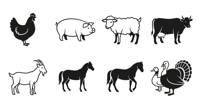Various Farm Animals in Simple Illustrations.