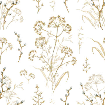 Seamless pattern with vintage graceful dry herbs herbarium isolated on white background. Watercolor hand drawn illustration