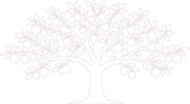 &Aacute;rbol de naranjas minimalista en l&iacute;neas finas, ilustraci&oacute;n vectorial de naranjo con frutos, dibujo lineal bot&aacute;nico de c&iacute;tricos