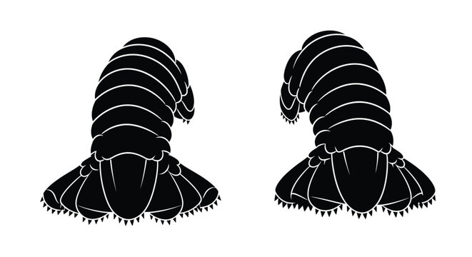 Two woodlice illustrations in a minimalist style on transparent background silhouette