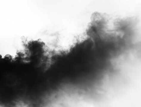 Abstract Smoke on Dark Background
White Smoke Isolated on Black Background
Black Smoke Texture with Dramatic Effect
Soft Smoke Waves in the Air
Rising Smoke on Dark Background