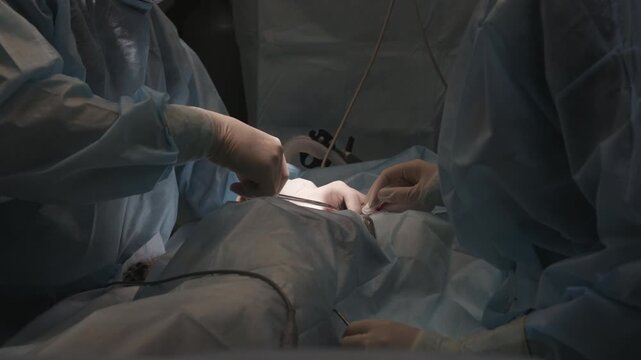 Professional veterinary surgeon and assistant performing a medical procedure on a pet under surgical lighting, demonstrating the precision and care required in animal health services.
