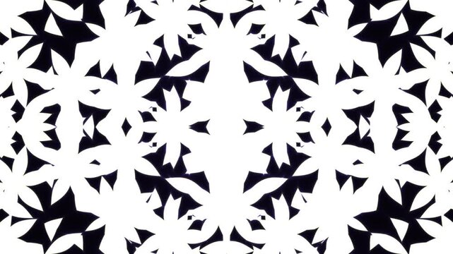 High-contrast graphic design featuring intricate black geometric patterns on a white background with a clean and modern aesthetic.