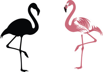 Obraz premium Flamingo Silhouettes in Black and Pink for Tropical, Nature, and Wildlife Illustrations