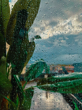 Raindrops on a window glass against the backdrop of tropical green leaves and blue sky - an atmospheric view of nature on a rainy day through wet glass.