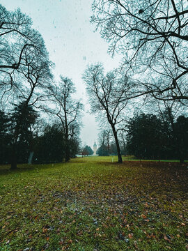 Snowfall Serenity in a Historic European Park with a Baroque Palace Tower Framed by Bare Winter Trees