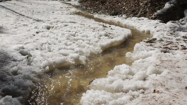 Spring stream is flowing in forest in sunny day. The snow is melting in springtime season and water run. Spring streams of meltwater run from the melting snow in woods in nature on sunlight in April