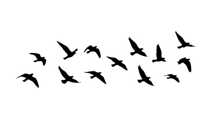 Obraz premium Flying Birds Silhouette Set Minimal Black Vector Isolated on White