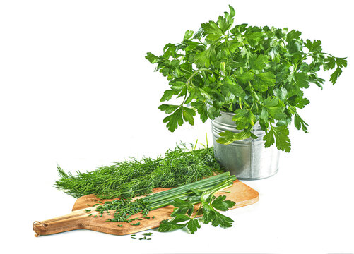 Świeży koperek, pietruszka i szczypior - kompozycja zi&oacute;ł na kuchennej drewnianej desce do krojenia