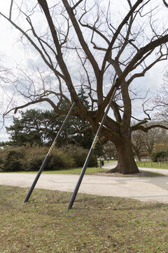 Old tree supported with metal props in public park, conservation and protection of urban nature, environmental care concept. Tree preservation infrastructure in urban park, protecting old growth and e