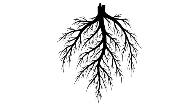 Detailed view of bronchial tree structure.