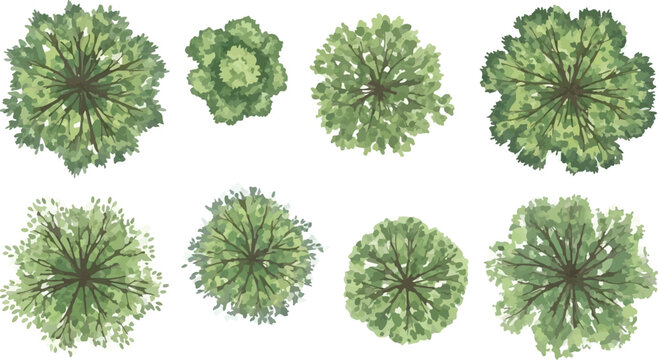 Top view tree symbols for landscape design, set of 8 green watercolor style plant icons, architectural site plan vegetation vector elements