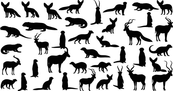 Collection of African wildlife animal silhouettes featuring meerkats fennec foxes antelopes and mongooses in various poses isolated on white background for nature design projects