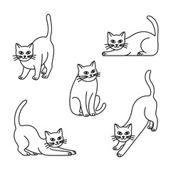 Vector of five cats in different poses and angles © Rohi