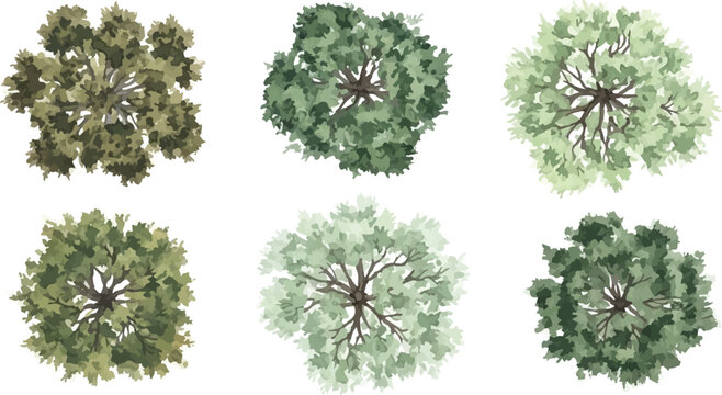 Architectural tree plan symbols, set of 6 top view landscape trees for site maps, green foliage plant icons for garden design and urban master planning