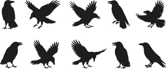 Obraz premium Crow raven silhouette vector set with flying and standing poses, black bird collection illustration