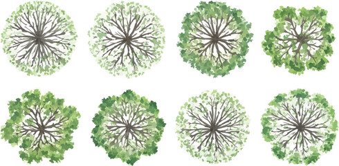Watercolor architectural tree plan symbols, set of 8 green top view trees for landscape design, hand drawn vegetation vector icons for site maps © Allah k hwaly