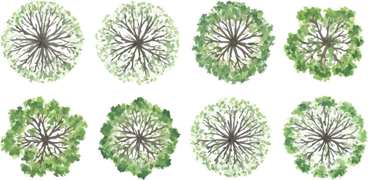 Watercolor architectural tree plan symbols, set of 8 green top view trees for landscape design, hand drawn vegetation vector icons for site maps