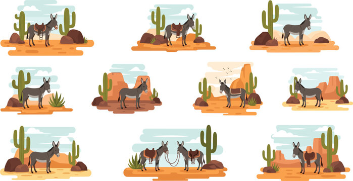 Donkey desert landscape illustrations with cactus, rocks and western scenery, burro wildlife collection in warm flat vector style