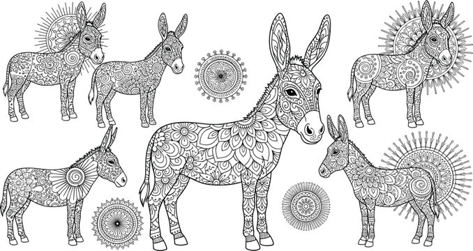 Ornate donkey illustrations with intricate mandala patterns, decorative burro animals and circular ornaments in detailed black and white vector style