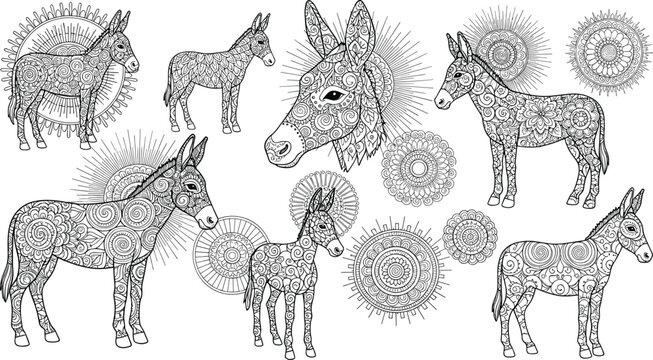 Ornate donkey illustrations with intricate mandala patterns, decorative burro animals and circular ornaments in detailed black and white vector style