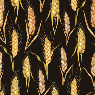 Seamless pattern of wheat ears black