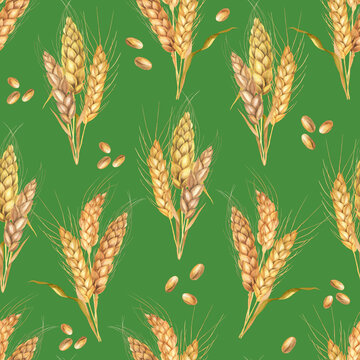 Wheat bouquet seamless pattern green