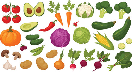 Fototapeta premium Fresh Vegetables Vector Set with Tomato, Avocado, Carrot, Pumpkin, Cabbage, Corn, Broccoli, Beetroot, Garlic, and Other Healthy Farm Produce Collection