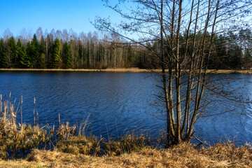 Fototapeta premium Zbiornik wodny Wyżary, Puszcza Knyszyńska, Podlasie, Polska