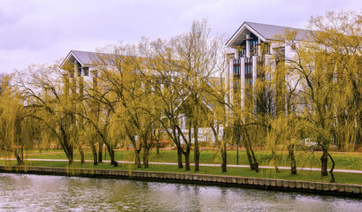 Obraz premium Willow trees line a canal near modern buildings in a city during springtime as clouds drift above