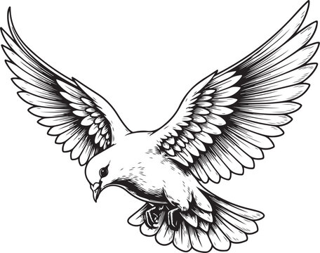 Graceful dove in mid-flight with outspread wings depicted in elegant line art sketch vector illustration